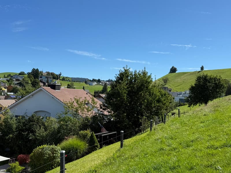 Geräumiges 8-Zimmer-Einfamilienhaus an ruhiger Lage in Edlibach/Menzingen (2)
