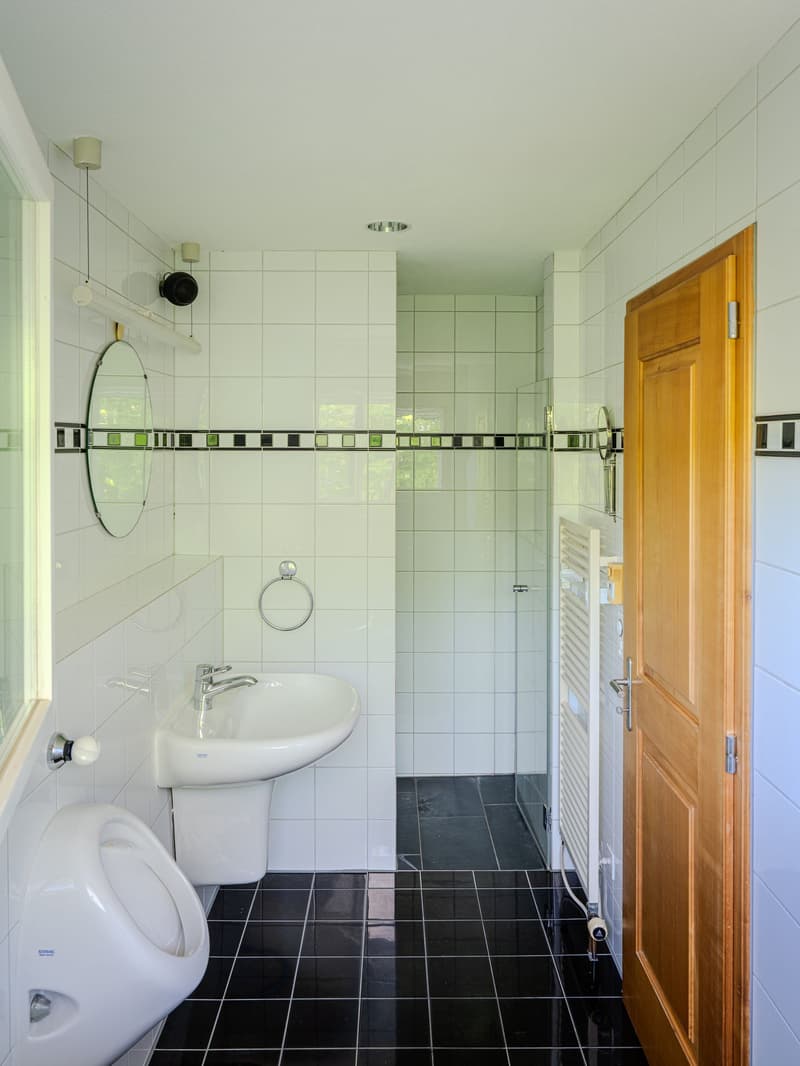 Geräumiges 8-Zimmer-Einfamilienhaus an ruhiger Lage in Edlibach/Menzingen (14)