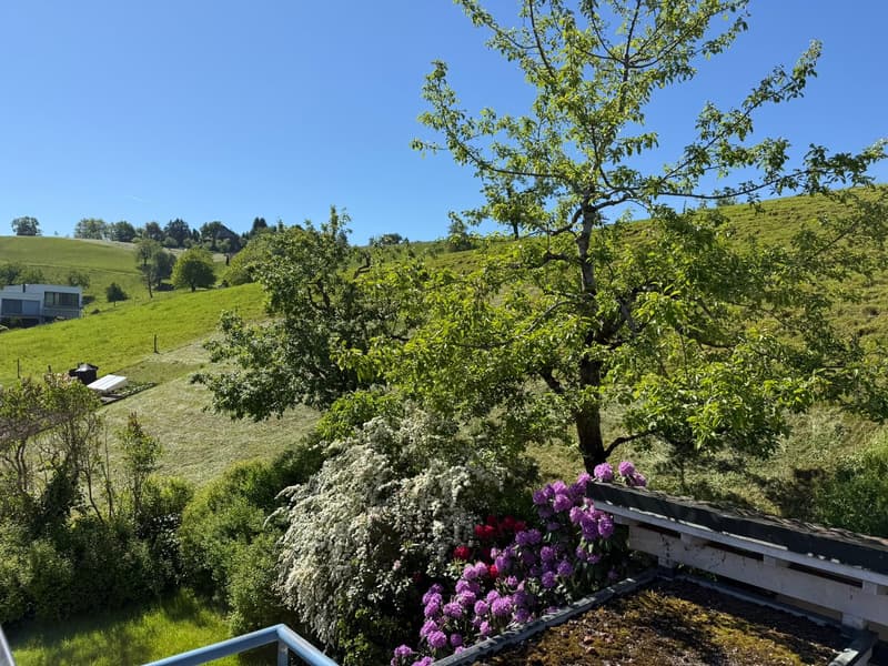 Geräumiges 8-Zimmer-Einfamilienhaus an ruhiger Lage in Edlibach/Menzingen (3)