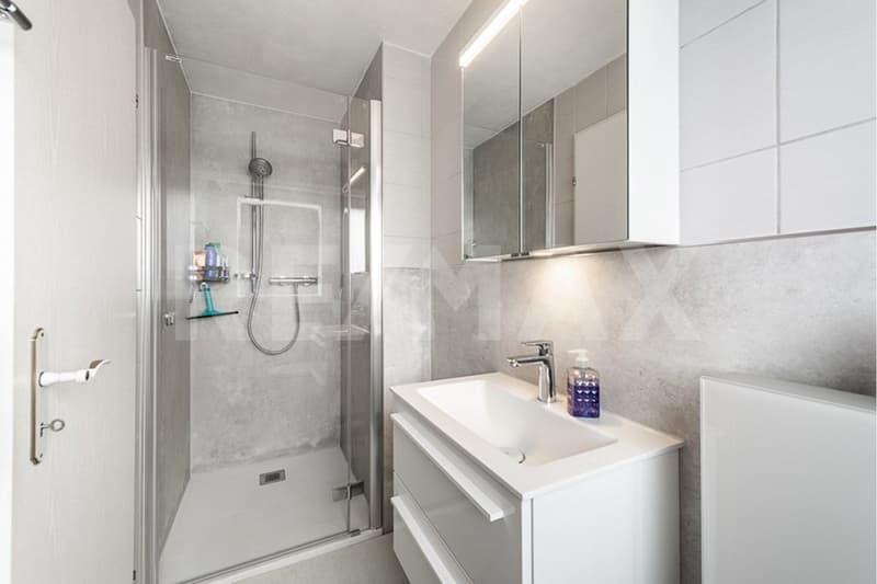 5½-Zimmer-Reihenhaus an familienfreundlicher Lage (9)