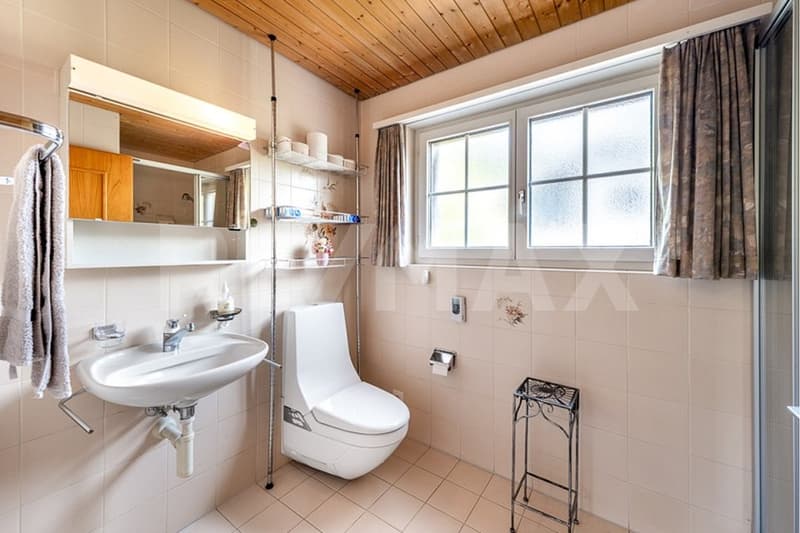 6½-Zimmer-Einfamilienhaus mit grosszügigem Grundstück (6)