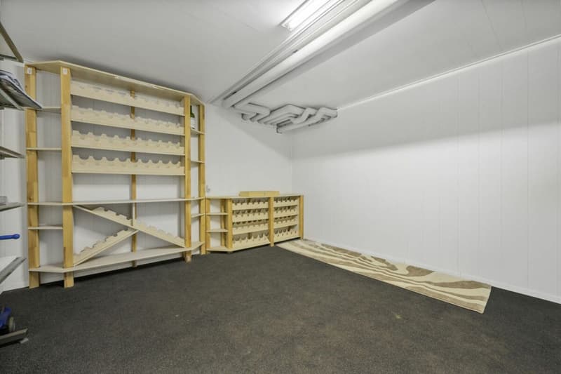 LAKESIDE LIVING 4,5 Zimmer Gartenwohnung in Iseltwald (14)