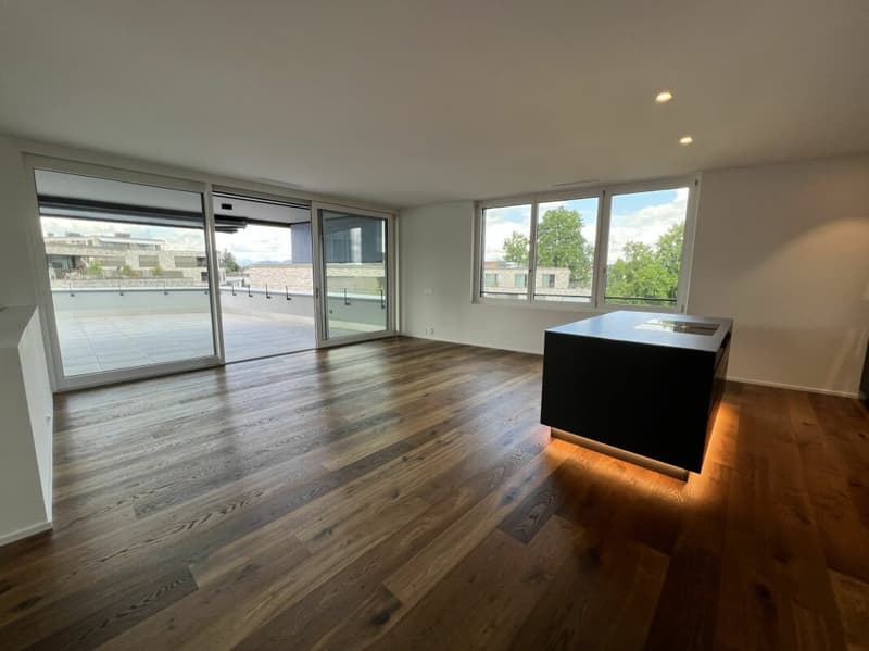 The Residence - 3.5-Zimmer-Penthouse in Steinhausen (1)