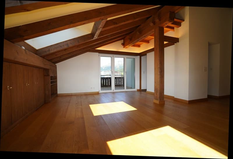 Appartement mansardé merveilleux avec vue sud (2)