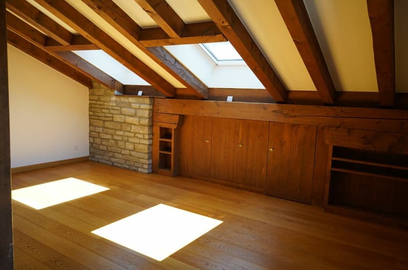 Appartement mansardé merveilleux avec vue sud (3)
