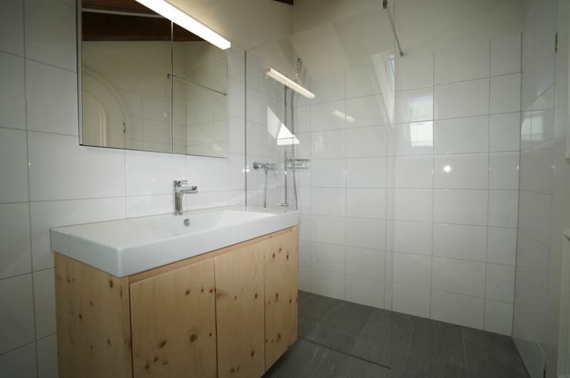 Appartement mansardé merveilleux avec vue sud (6)