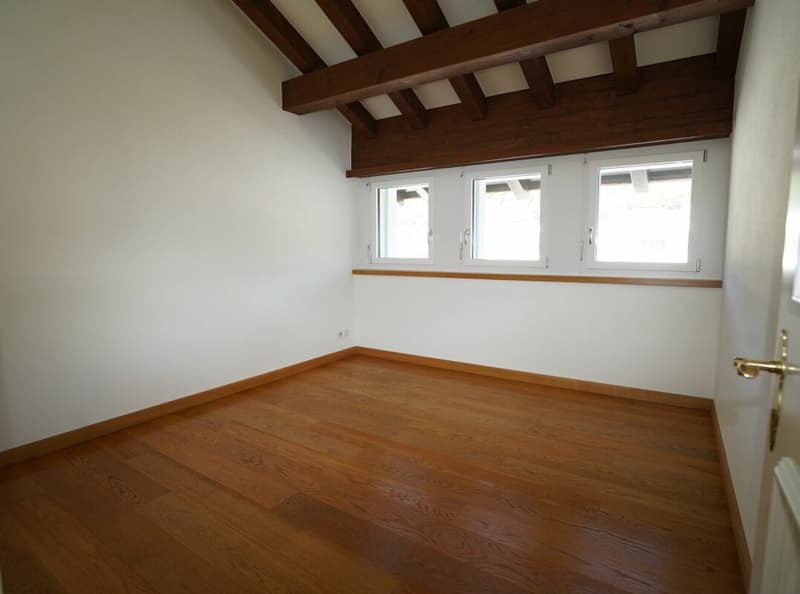 Appartement mansardé merveilleux avec vue sud (7)