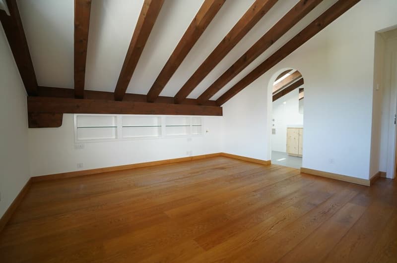 Appartement mansardé merveilleux avec vue sud (5)