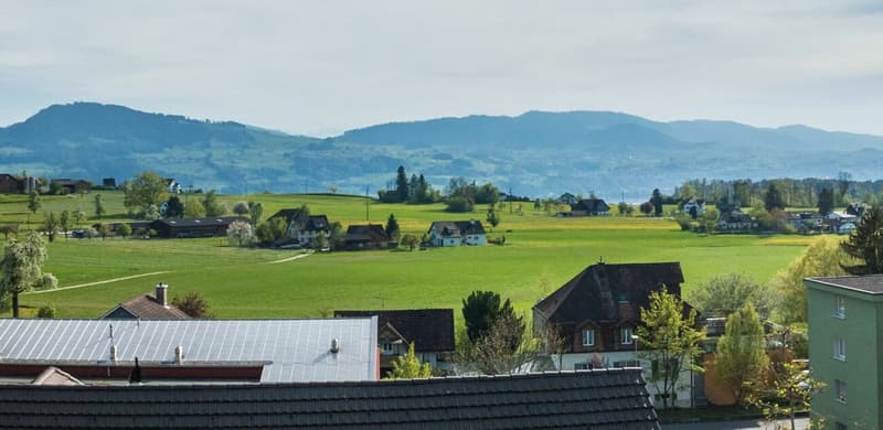 Sopra i tetti di Wolfhausen (10)