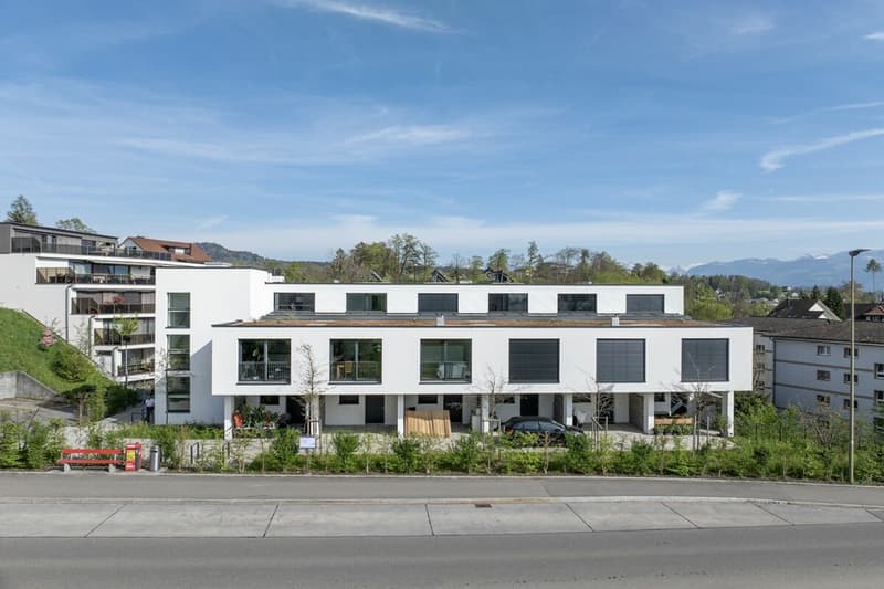 Moderne 1.5 Zimmer-Wohnung mit Terrasse (1)