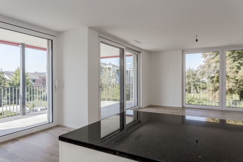 4.5 Zimmer Wohnung (O4) (3)