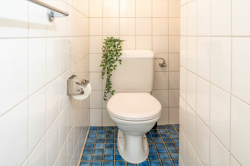 WC
