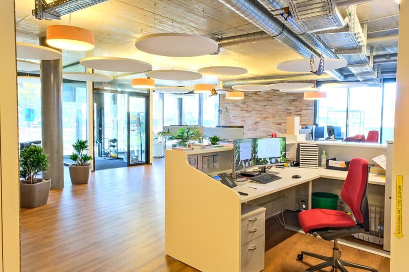 open office layout, desks, computer monitors, office chairs, hanging round lights, plants, brick wall