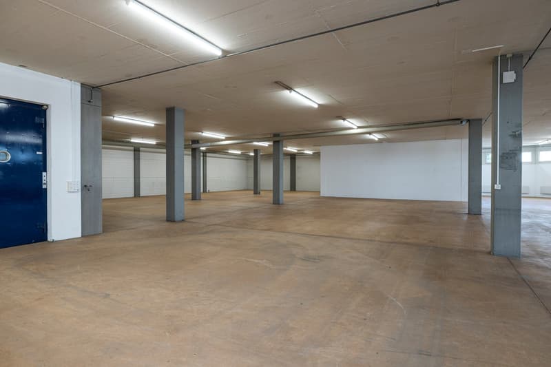 Empty room, concrete floor, white walls, metal columns, fluorescent ceiling lights, blue door