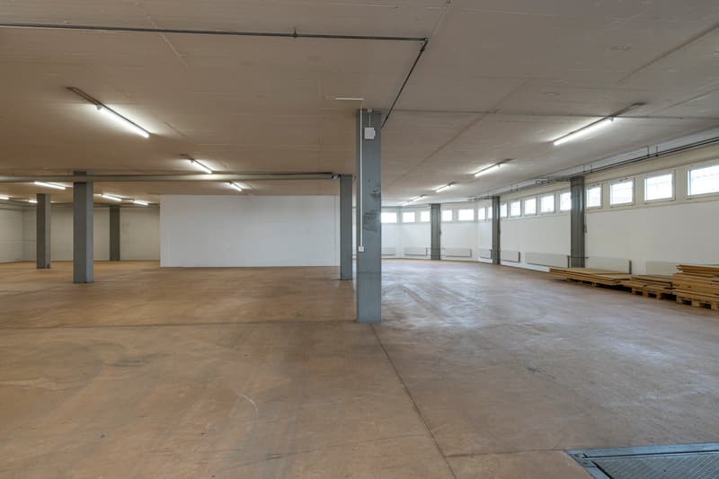 Empty room with concrete floor, white walls, metal beams, and windows