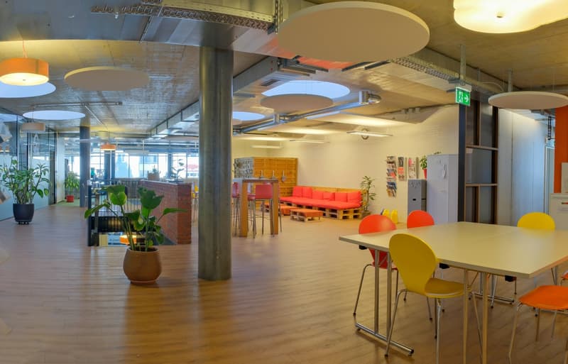 large open space, wooden floors, round ceiling lights, table with colorful chairs, various potted plants, couches