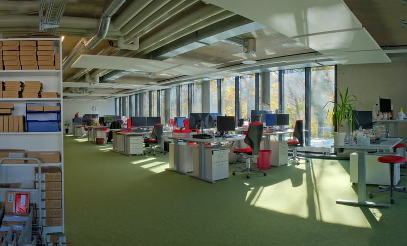 office space with large windows, desks, chairs, computers, and a central green carpet