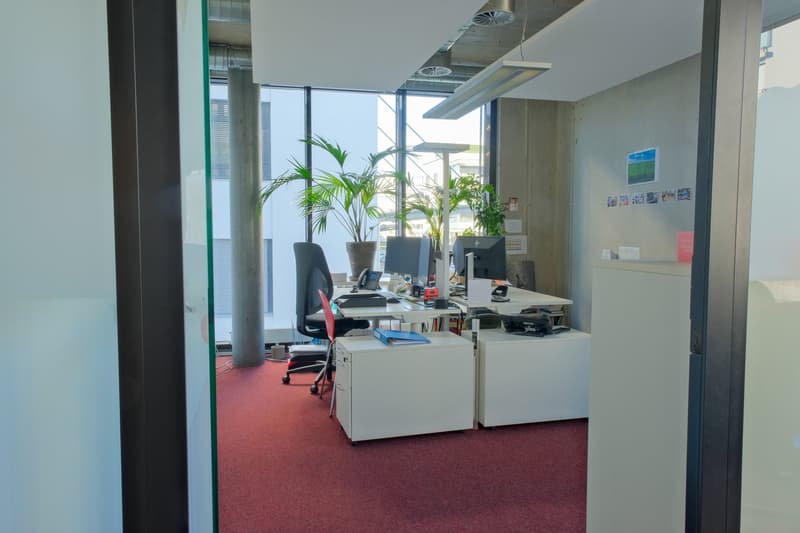 Office with desk, computer, chairs, plants, and white cabinets.