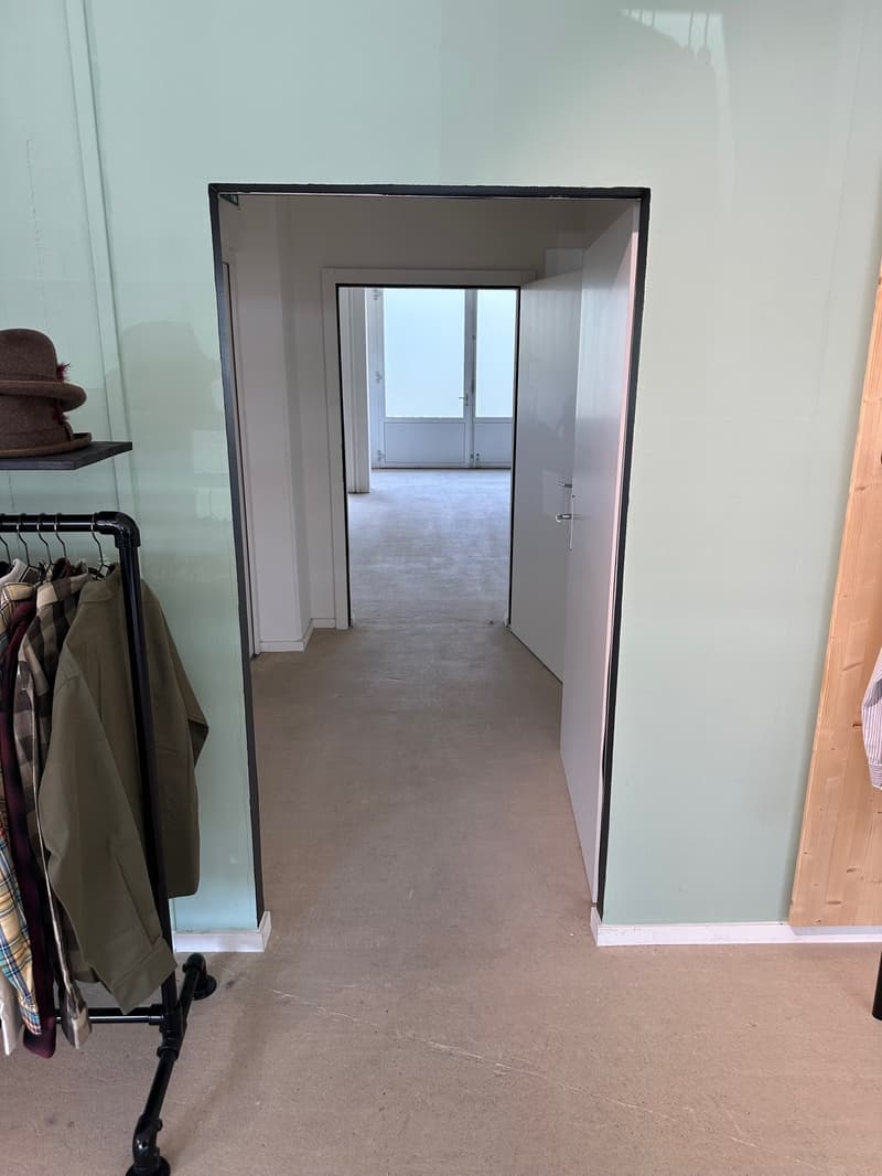 Entrance hall, white walls, open door, glass window, carpet floor, clothes on a rack