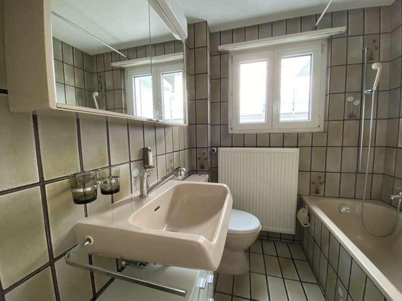 5.5 Zimmer-EFH in der Agglomeration Aarau (10)