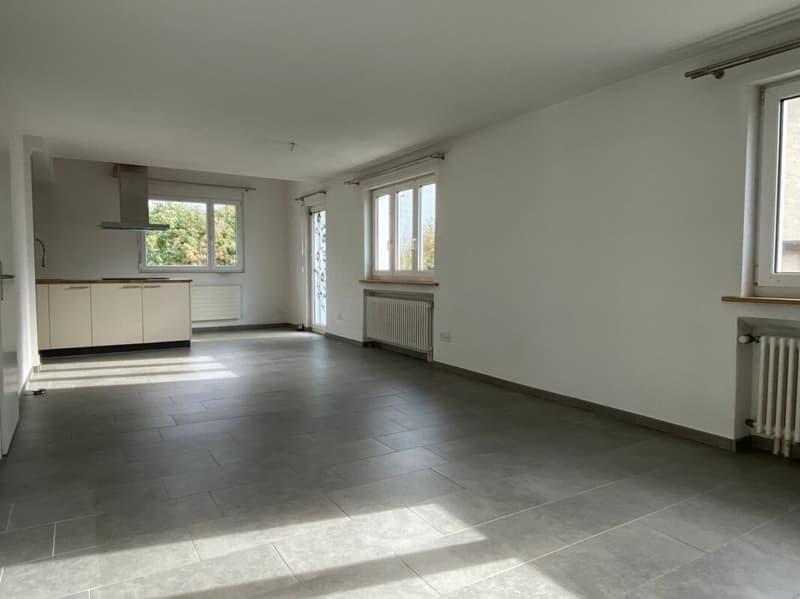 5.5 Zimmer-EFH in der Agglomeration Aarau (6)