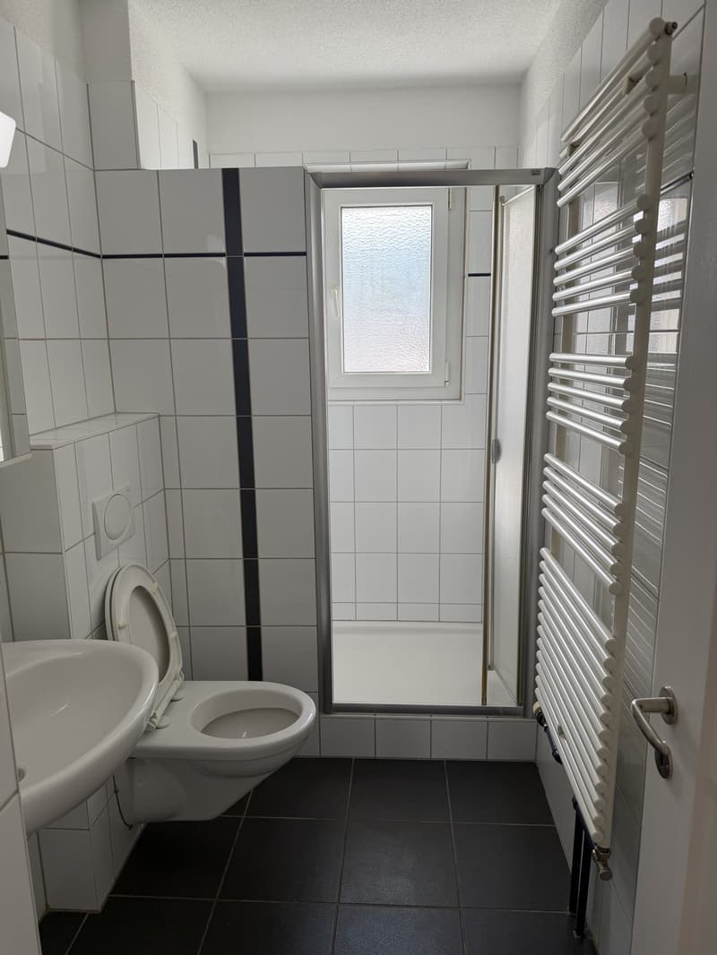 Schöne 3.5-Zimmerwohnung an zentraler und trotzdem ruhiger Lage zu vermieten (8)