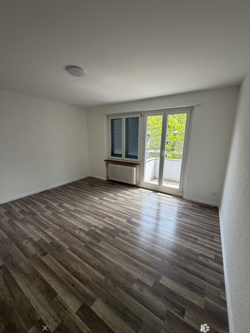 Frisch renovierte 2.5 Zimmer Wohnung an Top Lage in Biel (2)