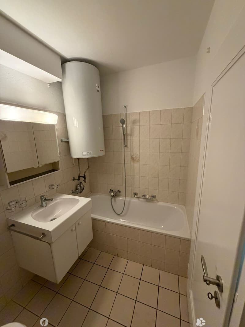 Frisch renovierte 2.5 Zimmer Wohnung an Top Lage in Biel (6)