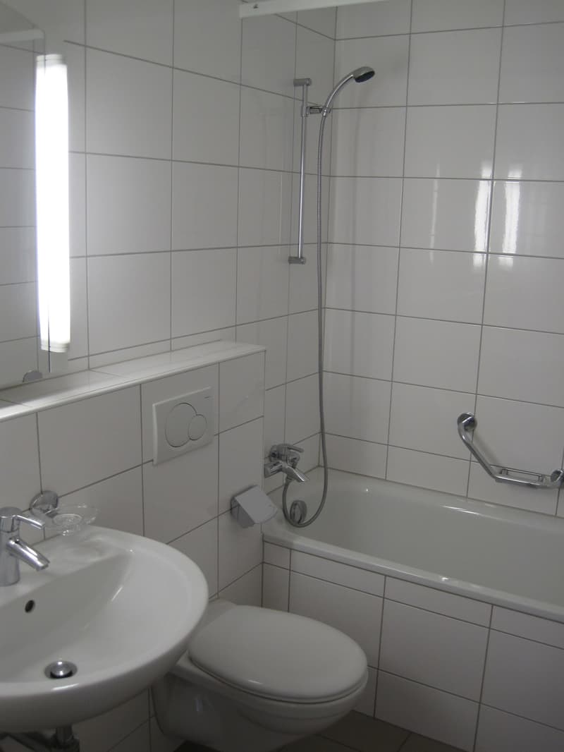 Wir vermieten eine 3-Zimmer-Wohnung im 2. OG in Döttingen! (7)