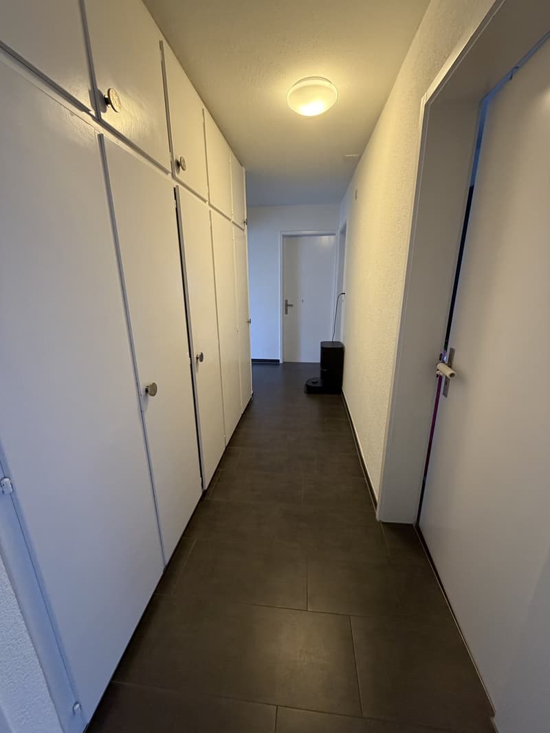 Schöne 4-Zimmer-Wohnung in Wattwil zu vermieten (6)