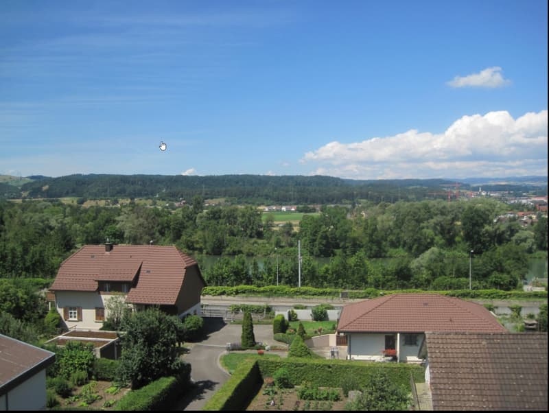 Helle 3-Zimmer-Wohnung mit Balkon und herrlicher Aussicht in Döttingen (1)