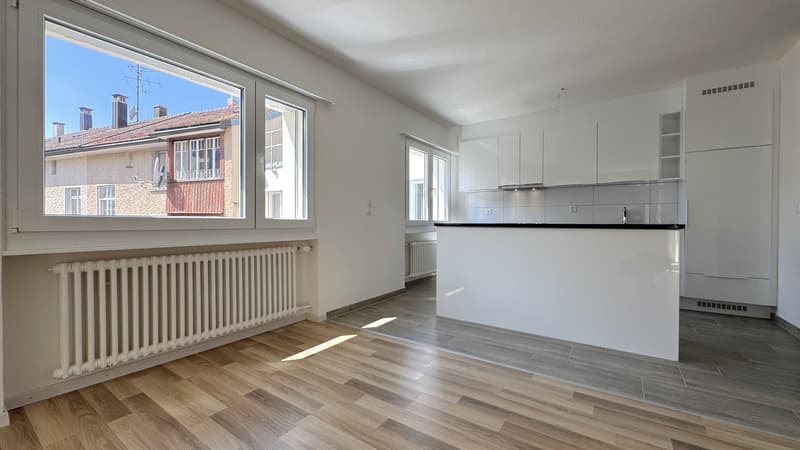 Frisch renovierte, helle 4.5-Zimmer-Wohnung letzte Gelegenheit! (2)
