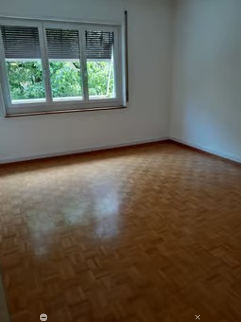 Helle und gemütliche 2.5-Zimmerwohnung an zentraler Lage (7)