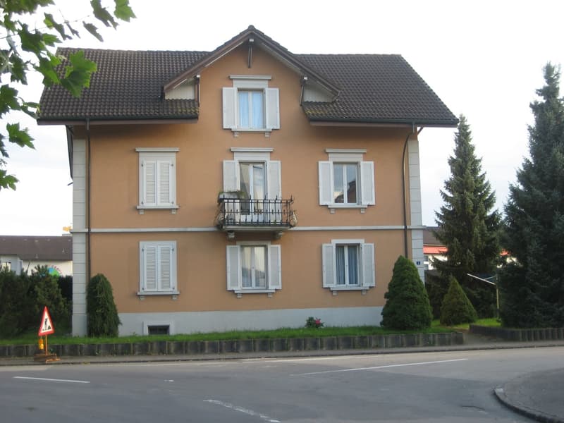Charmante 3.5-Zimmer-Dachwohnung in Nebikon (1)