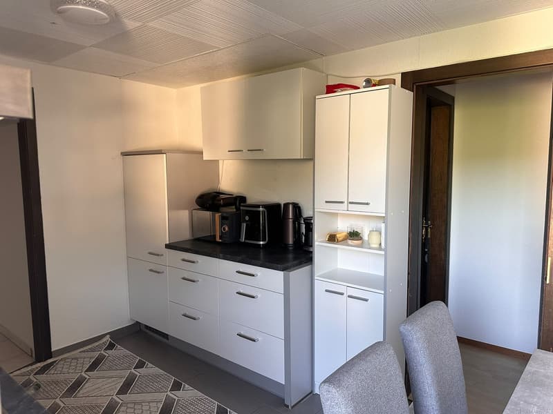 Charmante 3.5-Zimmer-Dachwohnung in Nebikon (4)