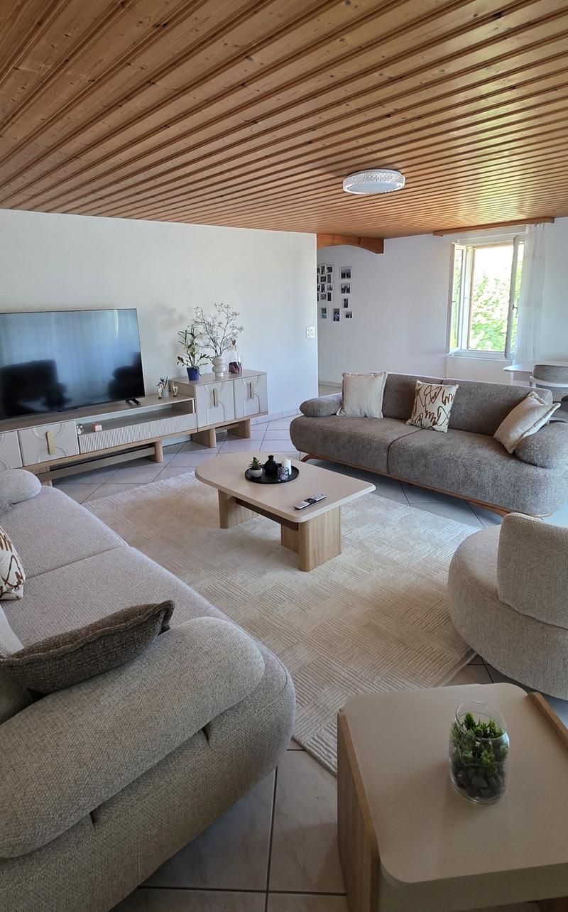 Charmante 3.5-Zimmer-Dachwohnung in Nebikon (2)