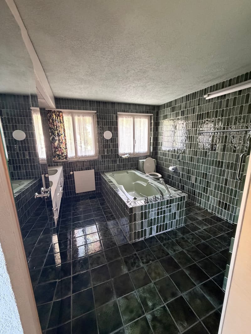 Grosszügiges 8.5-Zimmer-Haus im Kreis 2, ideal für eine WG, befristet bis 30.11.2027 (11)