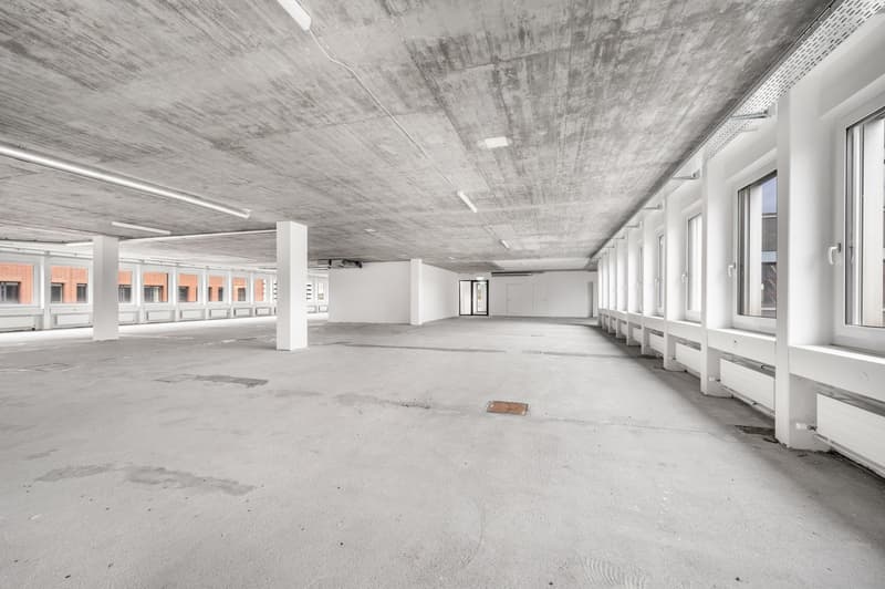 Large open space with concrete floor and ceiling, white walls, and multiple windows along the sides. The space appears to be an unfinished commercial or industrial area, possibly a warehouse or office space.