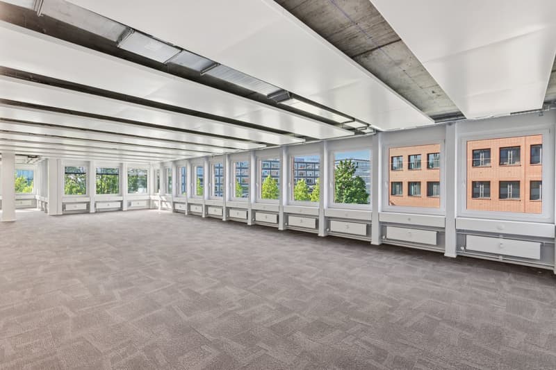 modern office with white walls, beige carpet, large windows, radiators along the wall