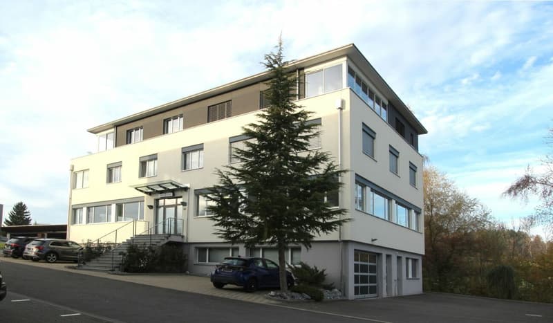 Geschäftshaus mit Büro / Werkstatt und Lager an Top-Standort und bester Verkehrslage (3)