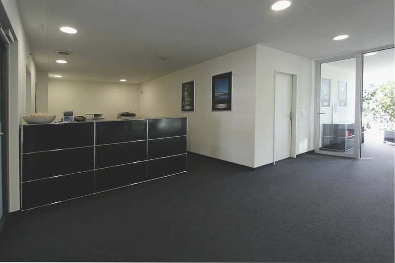 Flexible Bürofläche in Unterägeri - temporär oder langfristig zu vermieten (3)