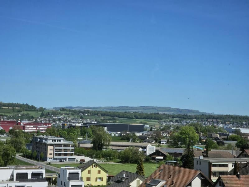 EIN WOHNTRAUM IN DER HÖHE - Exklusive Attika mit Panorama und Privatsphäre (10)