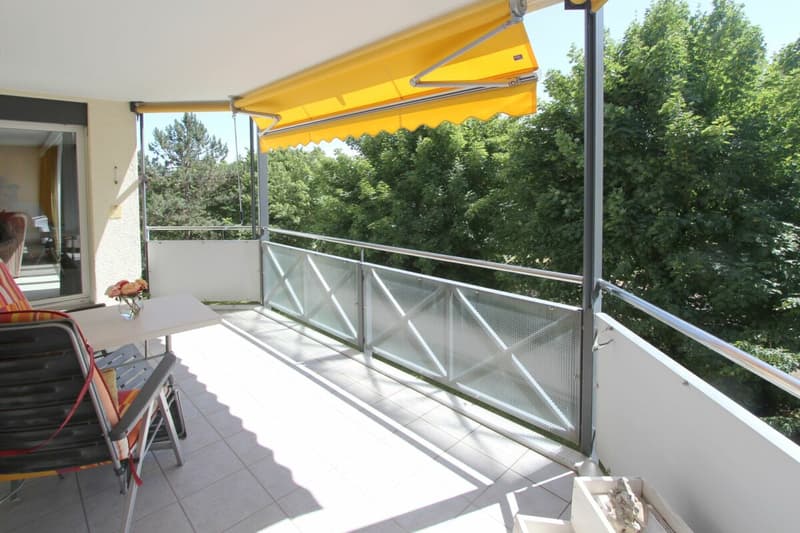 Sonnige 4.5 (5.5) Wohnung mit Blick ins Grüne an ruhiger Sackgassenlage in Wettingen (6)