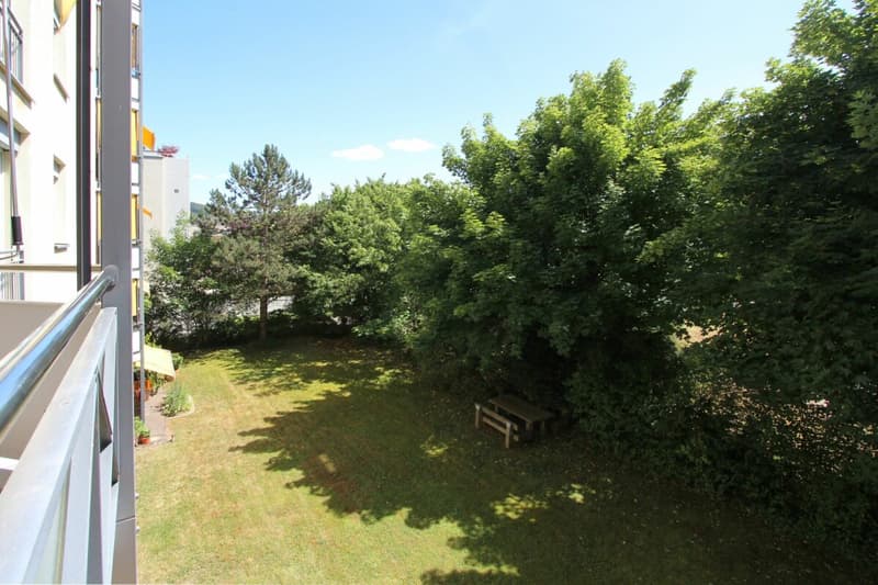 Sonnige 4.5 (5.5) Wohnung mit Blick ins Grüne an ruhiger Sackgassenlage in Wettingen (9)