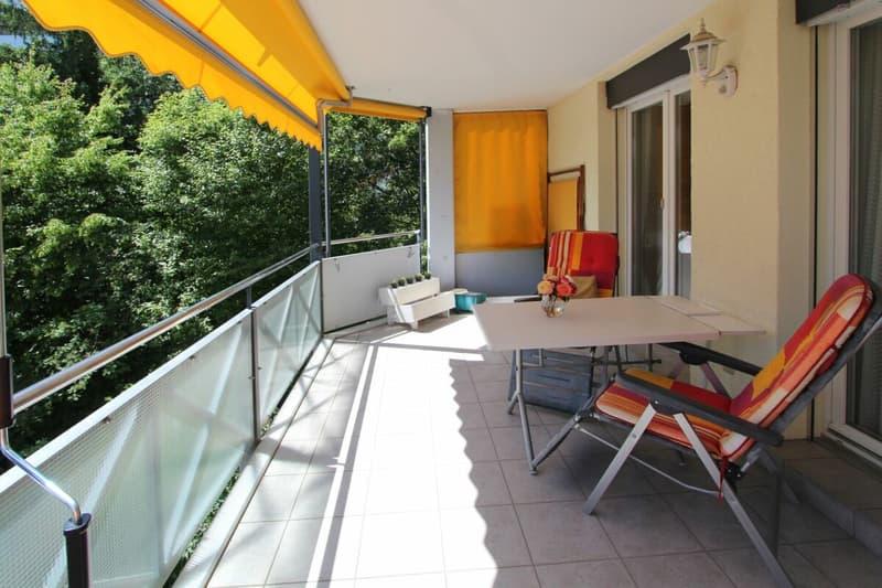 Sonnige 4.5 (5.5) Wohnung mit Blick ins Grüne an ruhiger Sackgassenlage in Wettingen (1)