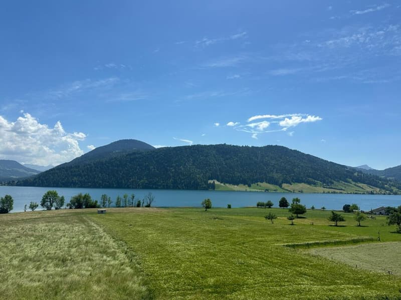 Exklusive 3.5 Zi-Attikawohnung mit traumhafter Panoramasicht auf den Ägerisee (6)