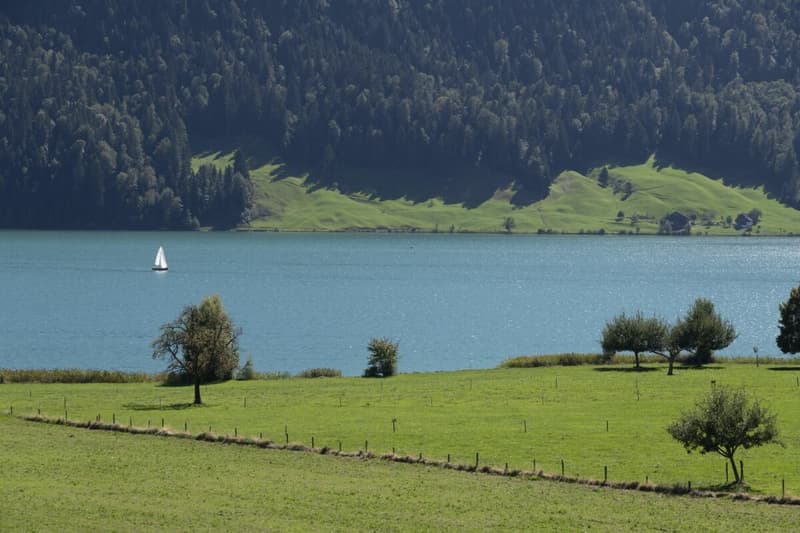 Exklusive 3.5 Zi-Dachwohnung mit traumhafter Panoramasicht auf den Ägerisee (7)