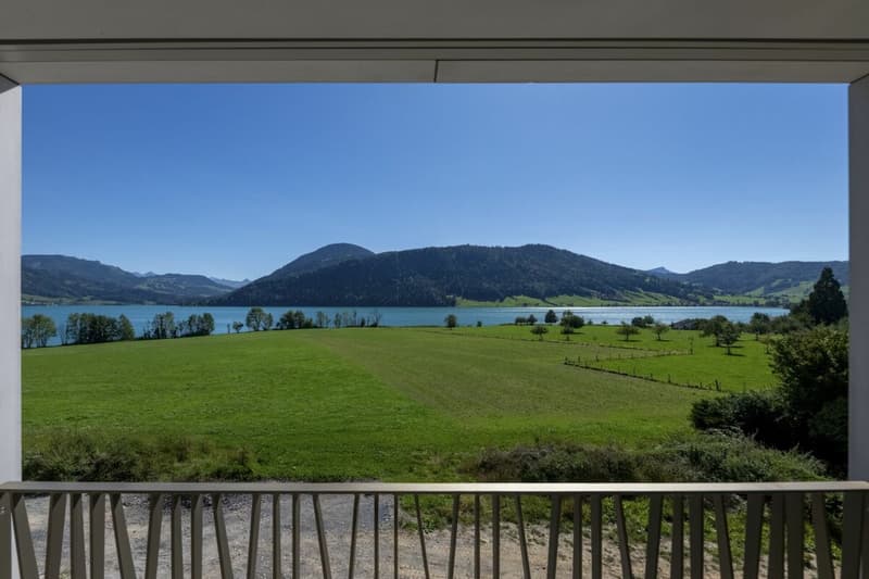 Überbauung Bahnhöfli: Exklusive 3.5 Zimmer Neubauwohnung mit Terrasse & Panoramaaussicht auf den Ägerisee (1)