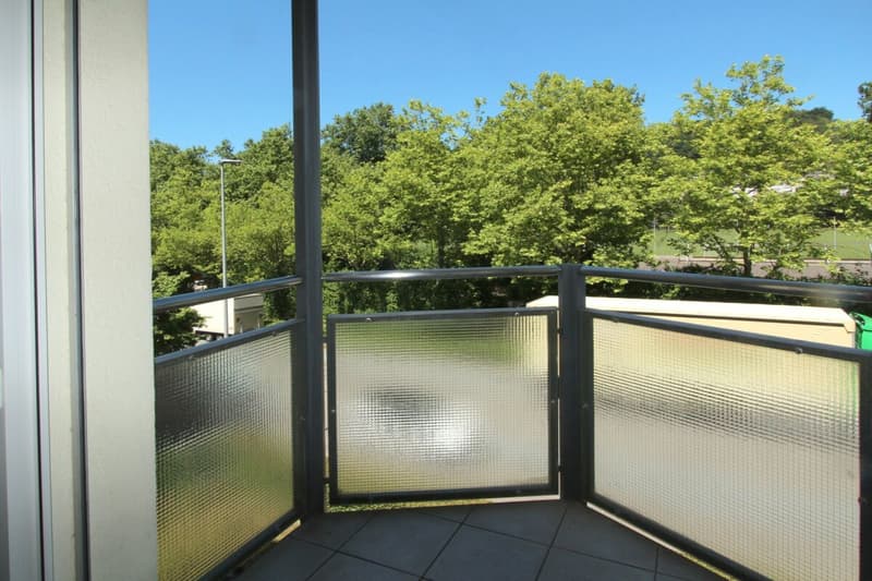 Sonnige 4.5 (5.5) Wohnung mit Blick ins Grüne an ruhiger Sackgassenlage und viel Raum für Ihre Ideen (6)