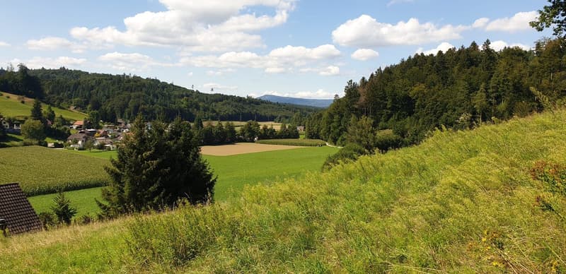 Modernes Einfamilienhaus mit Panoramablick in Uerkheim (2)